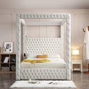 DREAM BED