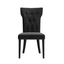LA COSTA - SET OF 2 CHAIRS